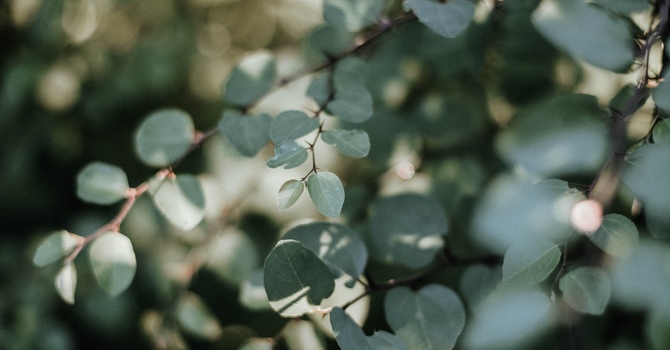 Clinical Counselling